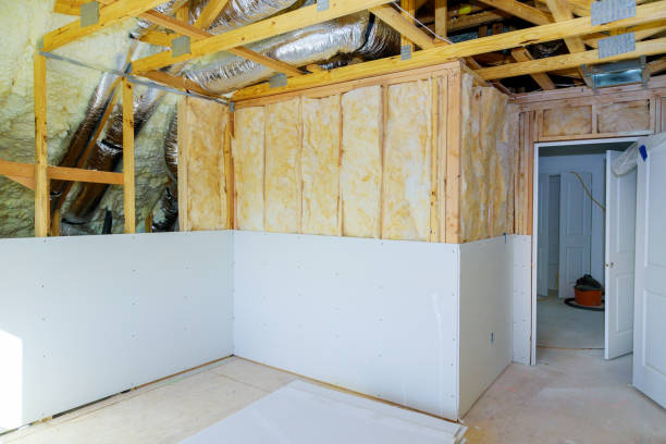 Best Cellulose Insulation in Franklin Farm, VA