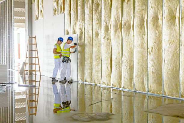 Best Insulation Maintenance and Repair in Franklin Farm, VA